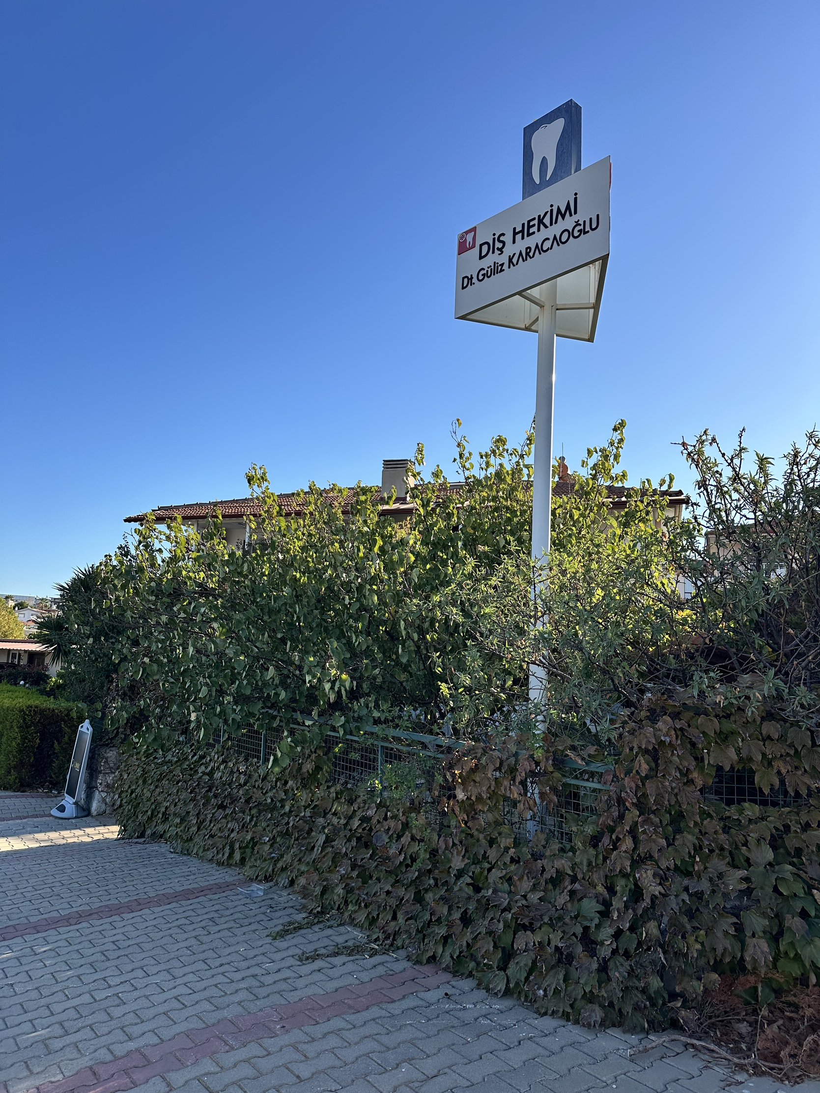 Diş Hekimi   Dr. Güliz Karacaoğlu 